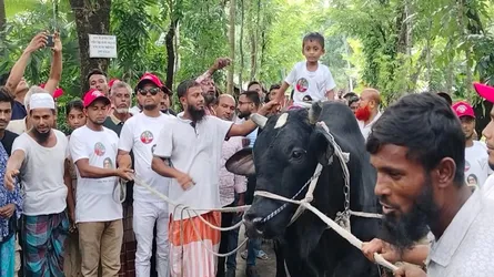 কৃতজ্ঞতা জানিয়ে সোহাগকে বাড়ি ফেরার অনুরোধ