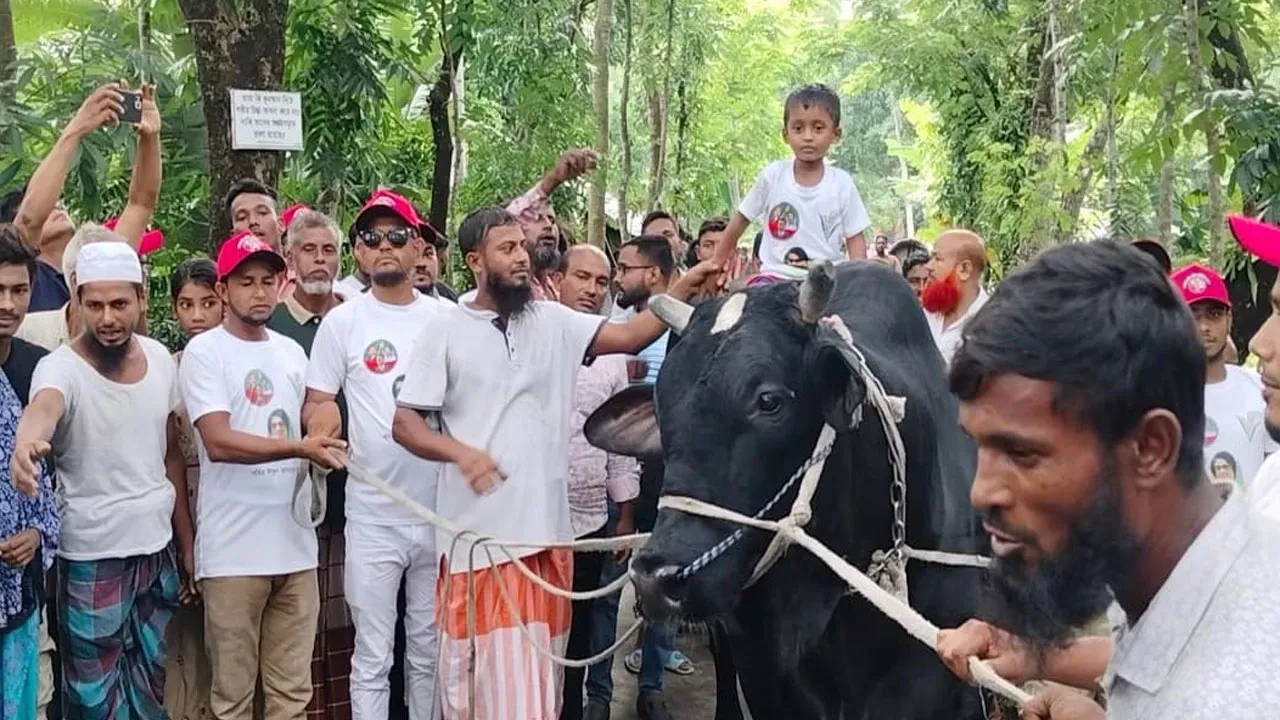 খালেদা জিয়াকে ৩৫ মণের 'কালো মানিক' উপহার