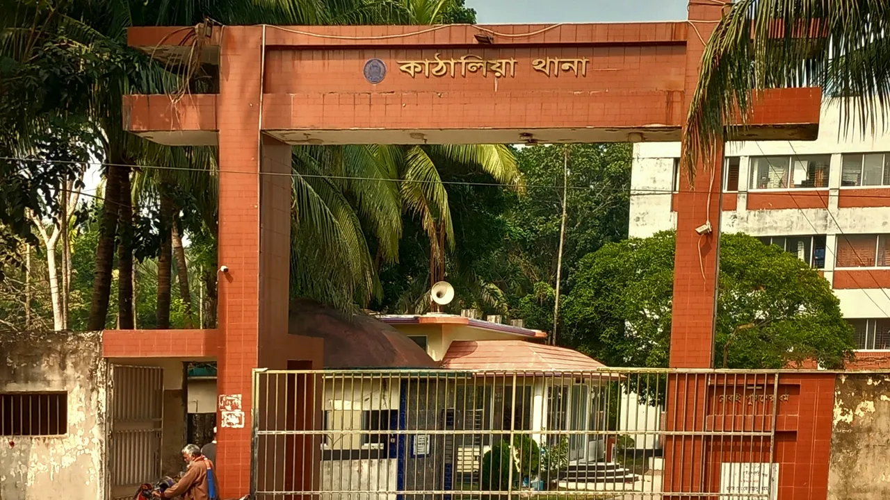 কাঁঠালিয়ায় আওয়ামী লীগের ৩ নেতা গ্রেফতার