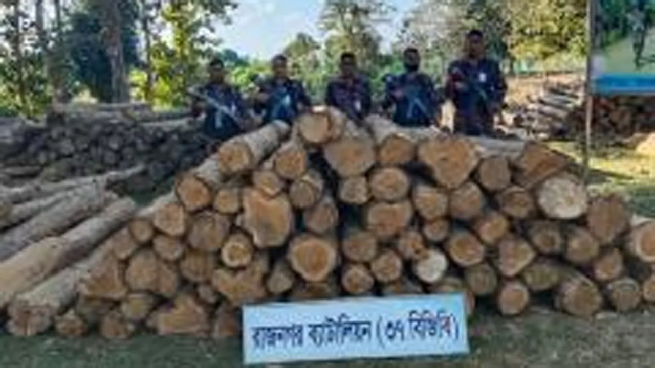 লংগদুতে বিজিবির অভিযানে অবৈধ কাঠ জব্দ