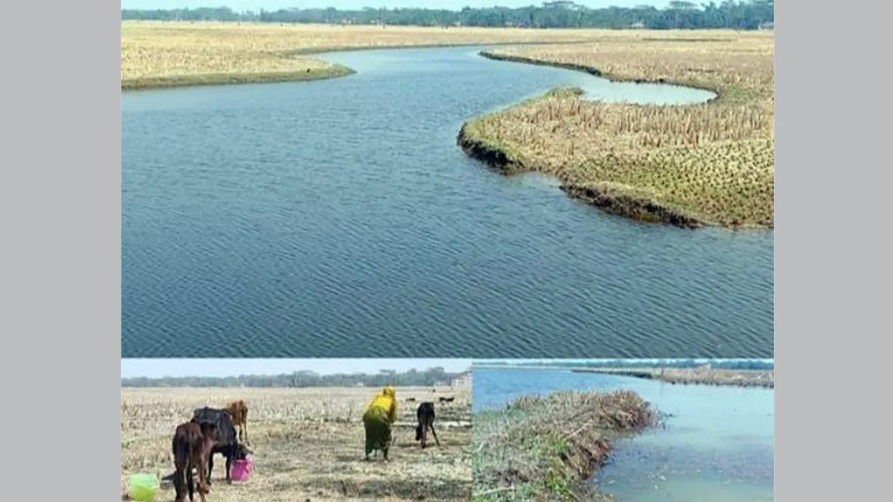 কলাপাড়ায় মধুখালী খালে লোনা পানির প্রবেশ