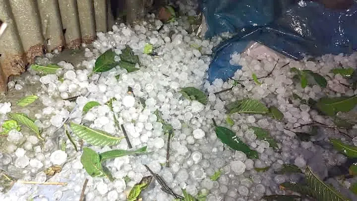 হোসেনপুরে শিলাবৃষ্টি ও ঝড়ো হাওয়ায় ফসলহানির আশঙ্কা