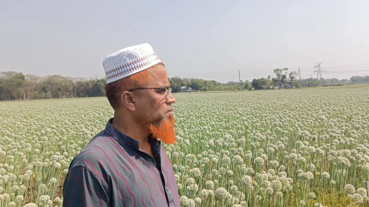 সালথায় কালো সোনা চাষ করে বাজিমাত