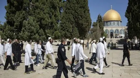 আল আকসা মসজিদে অনুপ্রবেশ ১৫১ ইসরাইলির