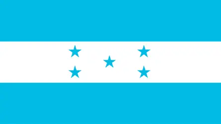 হন্ডুরাসে ভোট ‘চুরির’ অভিযোগ প্রেসিডেন্ট প্রার্থীর