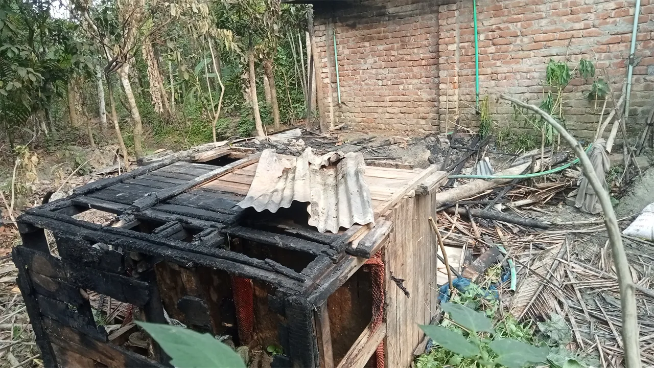 রাজাপুরে যুবদল নেতার বসতঘরে আগুন