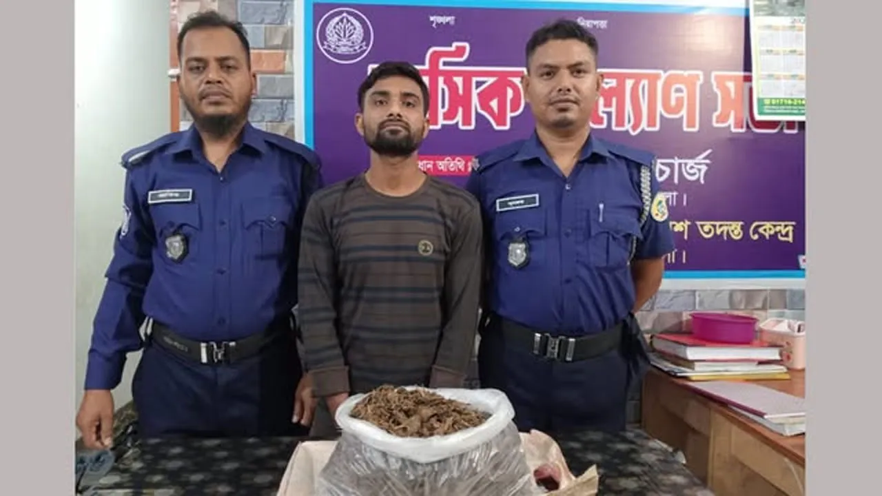 লালমোহনে ১ কেজি গাঁজাসহ মাদক কারবারি আটক
