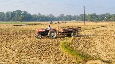 বুড়িচংয়ে ফসলী জমির উর্বর মাটি যাচ্ছে নির্মানাধীন বাড়ি ও ইট ভাটায়