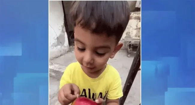 দুই বছরের যুদ্ধে আপেলের নামও ভুলে গেছে গাজার শিশুরা!