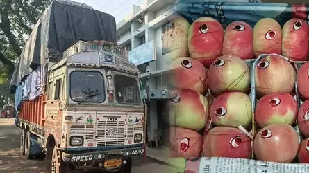 ৮ বছর পর ভারত থেকে হিলি বন্দর দিয়ে আপেল আমদানি শুরু