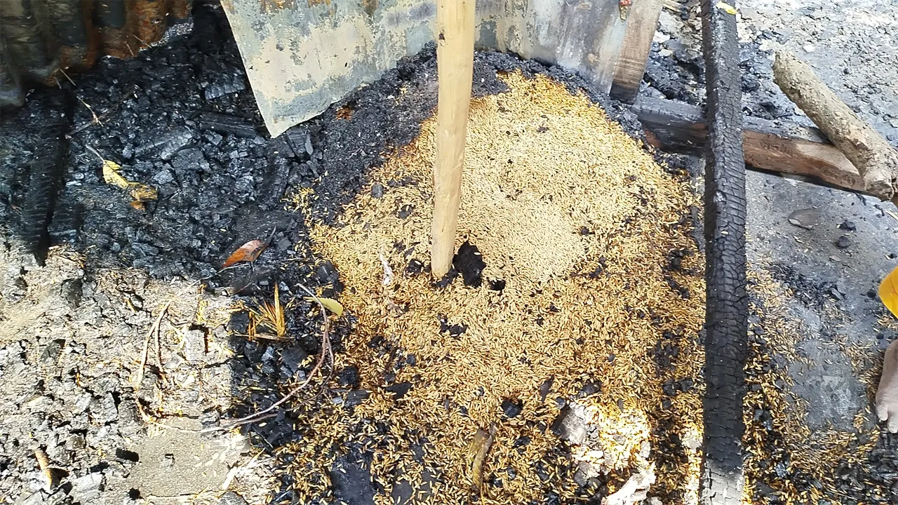 নড়াইল-২ আসনে বিএনপির সভাপতির বাড়িতে পেট্রোল বোমা নিক্ষেপ