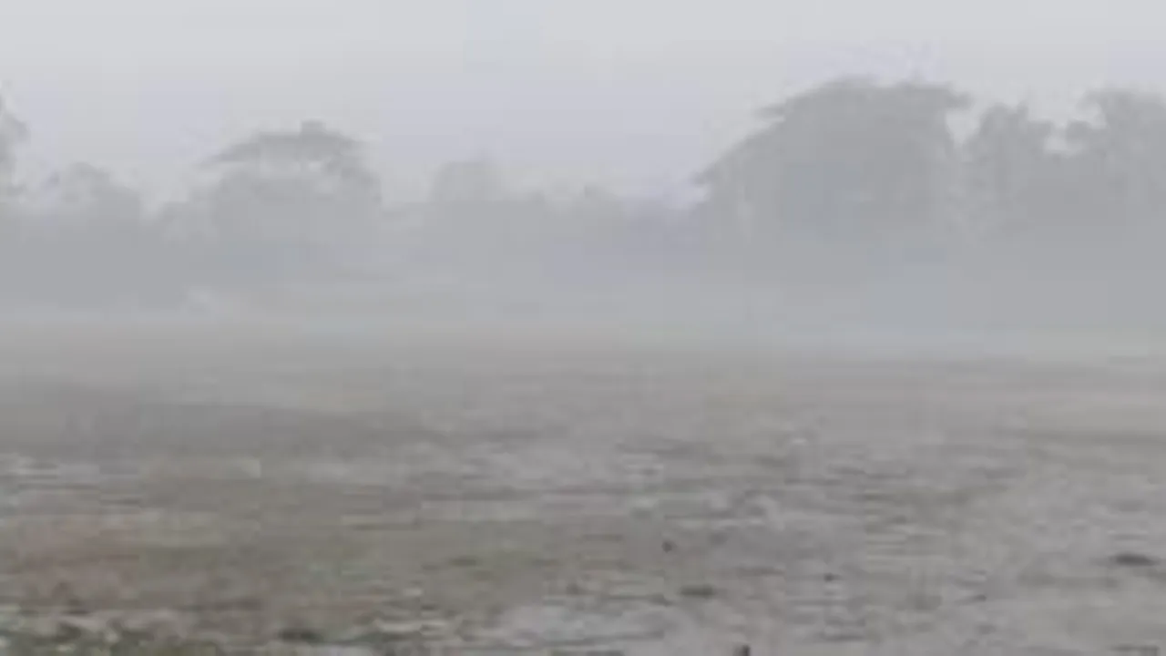 কুয়াকাটায় ঘন কুয়াশা ও হিম বাতাসে জনজীবনে চরম ভোগান্তি