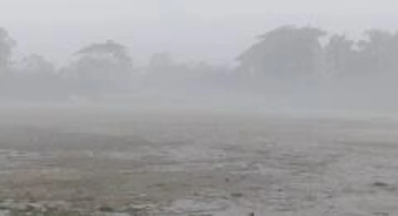 কুয়াকাটায় ঘন কুয়াশা ও হিম বাতাসে জনজীবনে চরম ভোগান্তি