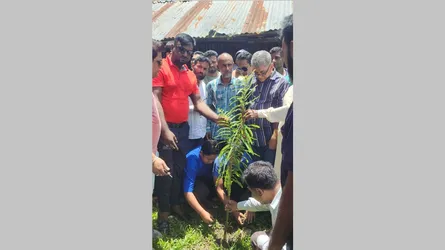 উজিরপুরে জুলাই শহীদদের স্মরণে বিএনপির বৃক্ষরোপণ কর্মসূচি