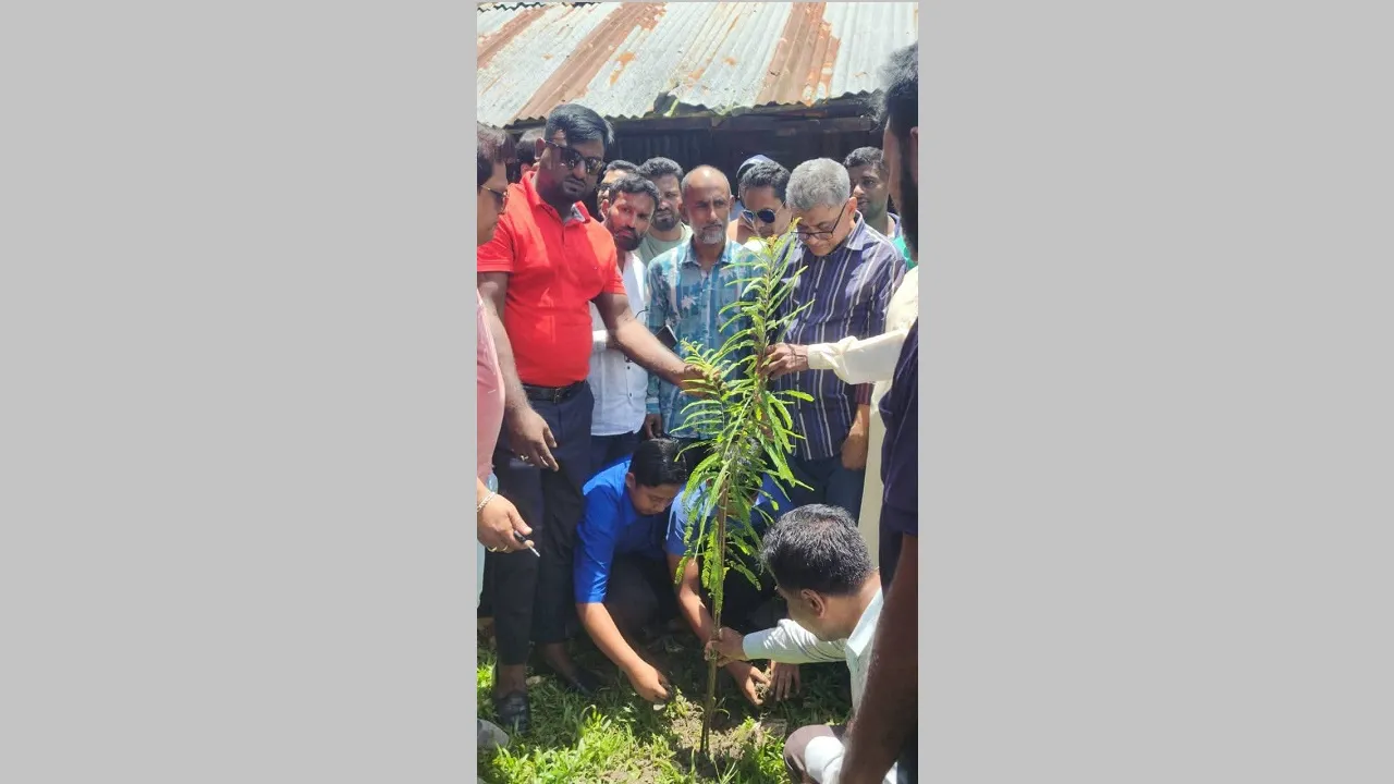 উজিরপুরে জুলাই শহীদদের স্মরণে বিএনপির বৃক্ষরোপণ কর্মসূচি