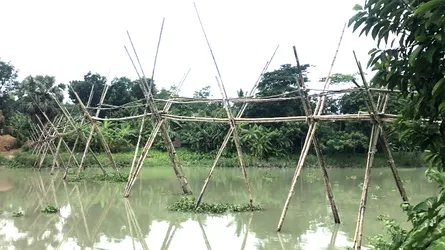 বরিশালে ১৫ হাজার পরিবারের ঝুঁকি নিয়ে সাঁকো পারাপার