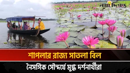 শাপলার রাজ্য সাতলা বিল, নৈসর্গিক সৌন্দর্যে মুগ্ধ দর্শনার্থীরা