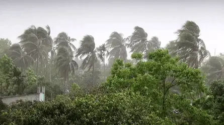 বজ্রসহ ঝড়বৃষ্টির আভাস, নদীবন্দরে সতর্ক সঙ্কেত