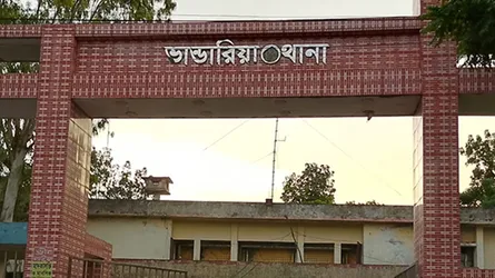 ভাণ্ডারিয়ায় বাসের ধাক্কায় অটোরিকশাচালক নিহত