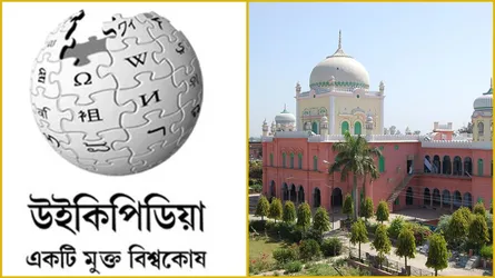 উইকিপিডিয়ায় কওমি শিক্ষার্থীদের পদচারণা কেন জরুরি