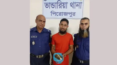 ভাণ্ডারিয়ায় গাঁজাসহ যুবক গ্রেফতার