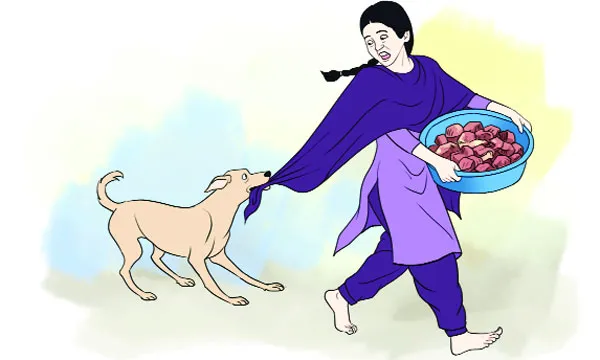 তুলির ঈদ আনন্দ  : আনোয়ারুল ইসলাম