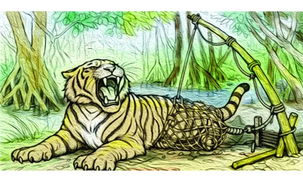ঢাংমারীর অরণ্যছায়া