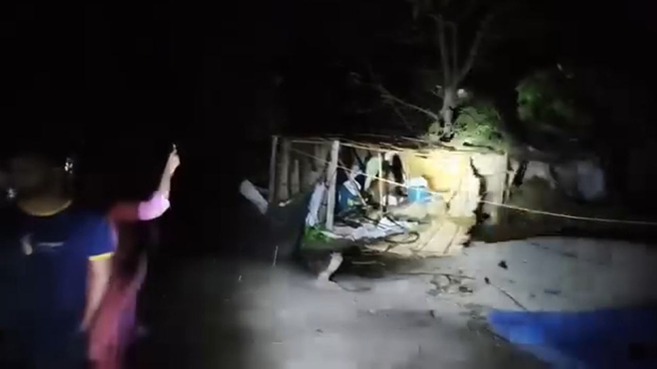 alamdanga