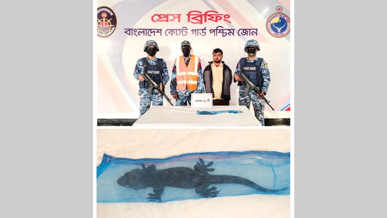 মোংলায় বিরল প্রজাতির তক্ষকসহ পাচারকারী আটক