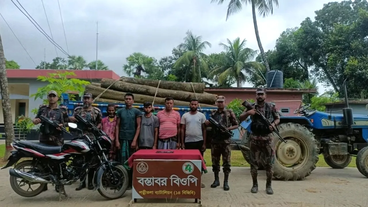 ভারতে পাচারকালে আকাশমনি কাঠ উদ্ধার, আটক ৫