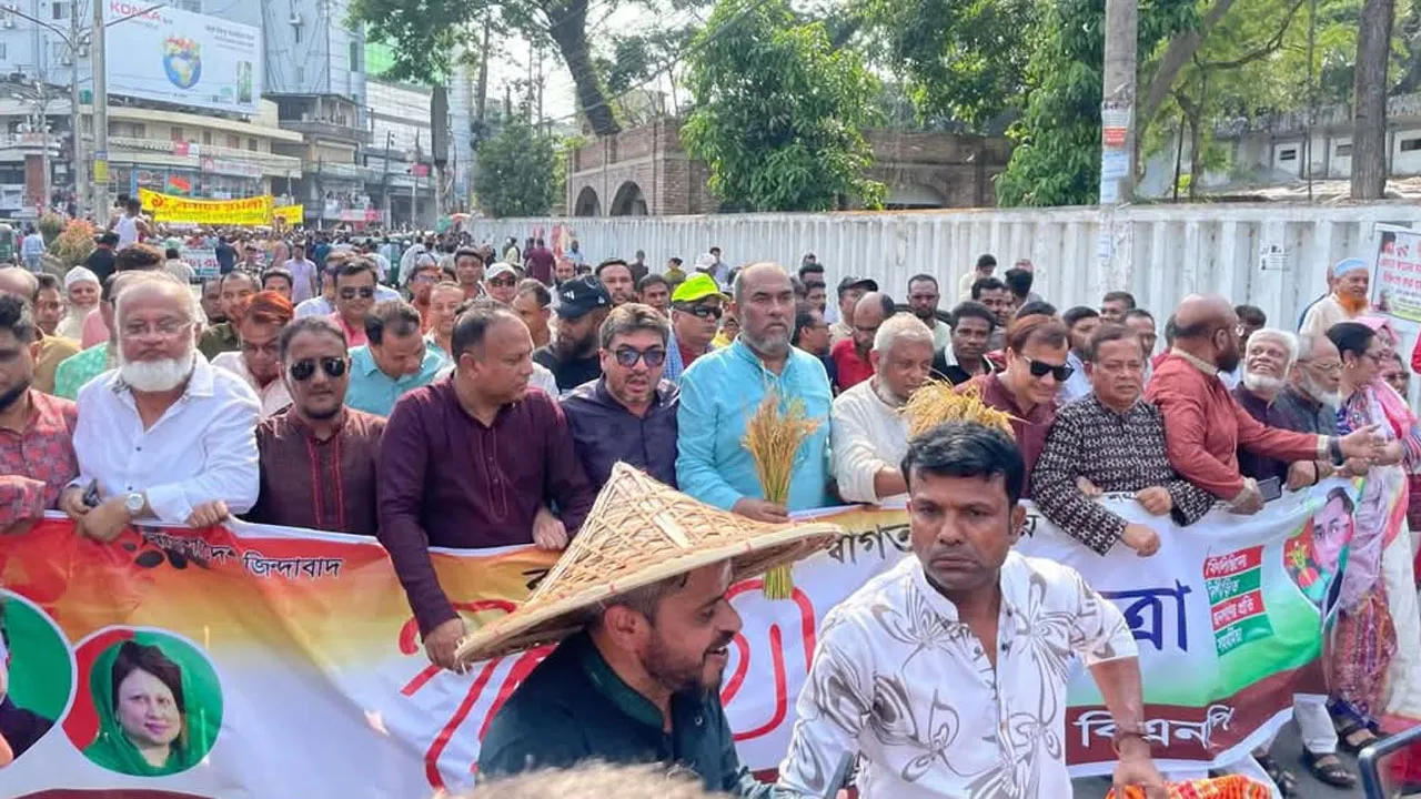 আওয়ামী লীগ ৫০ বছরেও ক্ষমতায় ফিরতে পারবে না : আরিফুল হক
