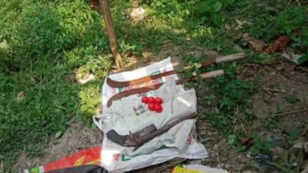 আশুলিয়ায় পরিত্যক্ত স্কুলব্যাগ থেকে পিস্তল-হাতবোমাসহ দেশীয় অস্ত্র উদ্ধার
