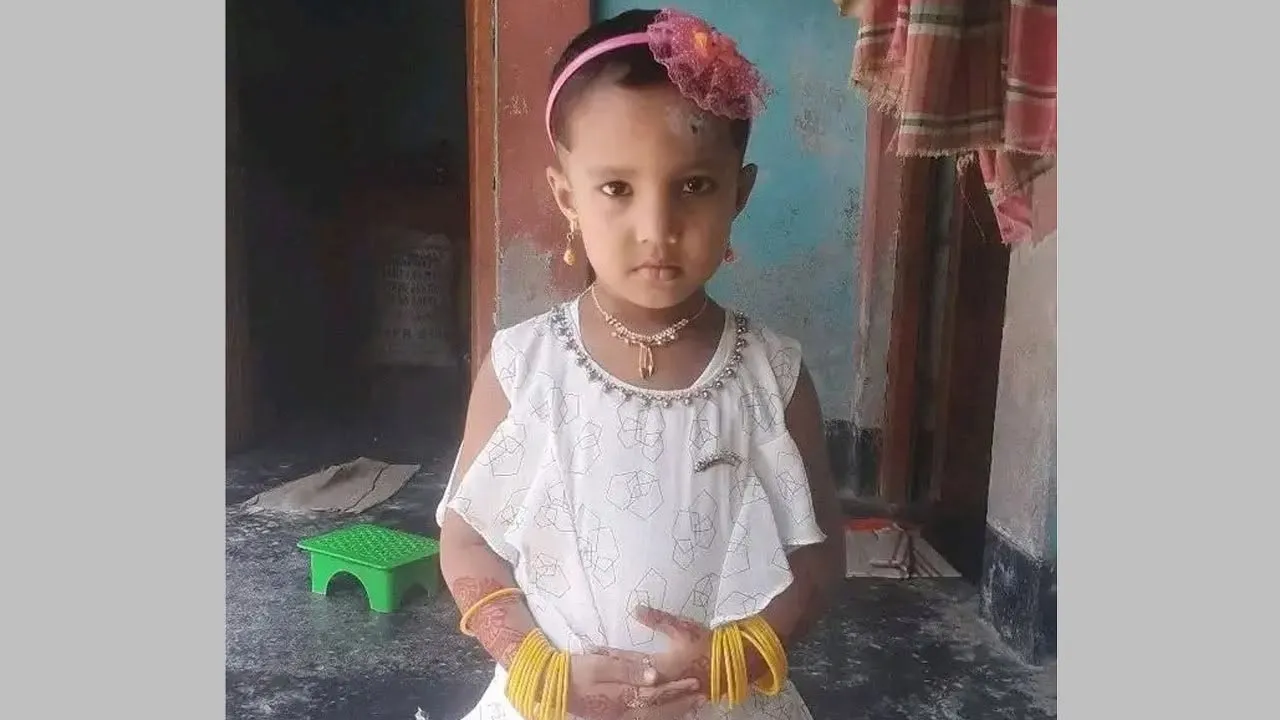 বাগাতিপাড়ায় ইজিবাইকের ধাক্কা শিশু নিহত
