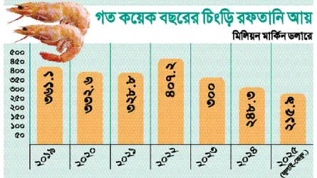 চিংড়ি রফতানি কমছে