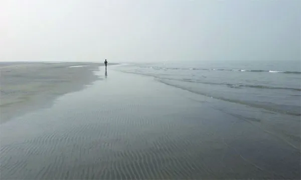 মায়া চরে ভয়ঙ্কর চোরাবালি লাল কাঁকড়ার অবাধ বিচরণ