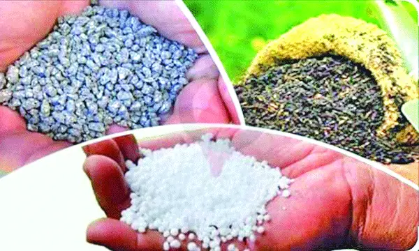 কৃষি খাতে ভয়াবহ সঙ্কটের আশঙ্কা