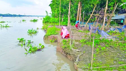 নদীভাঙনে দিশেহারা বরিশালের ৩ উপজেলার মানুষ