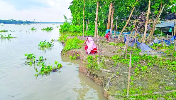 নদীভাঙনে দিশেহারা বরিশালের ৩ উপজেলার মানুষ