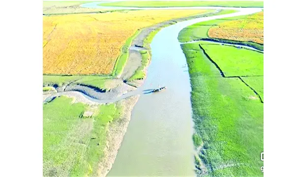 নোয়াখালীর মেঘনায় জেগে ওঠা চরের  আয়তন হবে কয়েকটি উপজেলার সমান