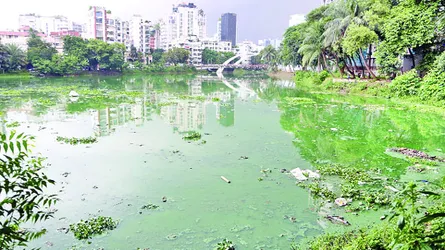 লেকের দুর্গন্ধে অতিষ্ঠ গুলশান বনানীর বাসিন্দারা