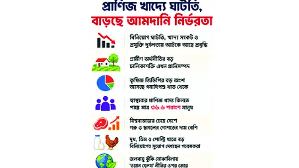 প্রাণিজ খাদ্য উৎপাদনে ঘাটতি বাড়ছে আমদানিনির্ভরতা