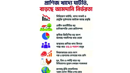 প্রাণিজ খাদ্য উৎপাদনে ঘাটতি বাড়ছে আমদানিনির্ভরতা
