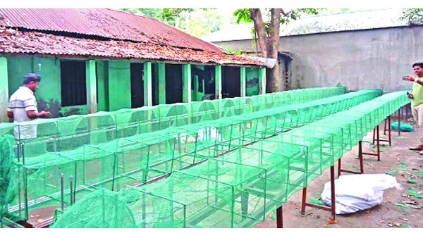 জীববৈচিত্র্য ধ্বংসে ভয়ানক ফাঁদ চায়না দুয়ারি