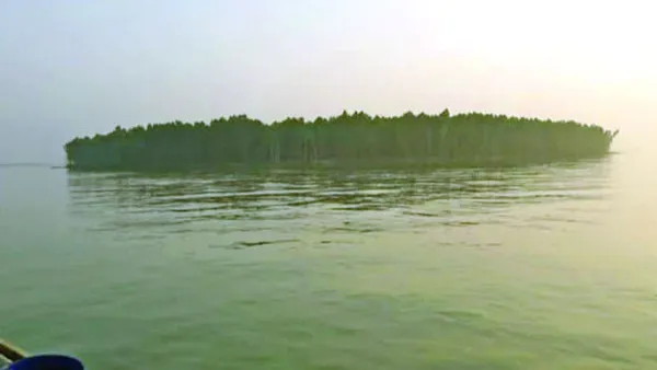 স্টেডিয়ামের মতো দেখতে আনোয়ারার চর