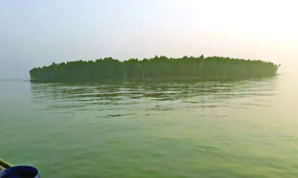 স্টেডিয়ামের মতো দেখতে আনোয়ারার চর