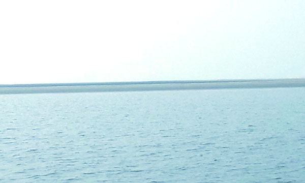 back-5