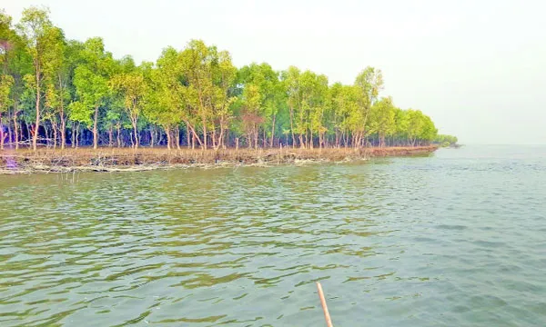 সাগরের বুকে এক নিস্বর্গ মাঝের চর