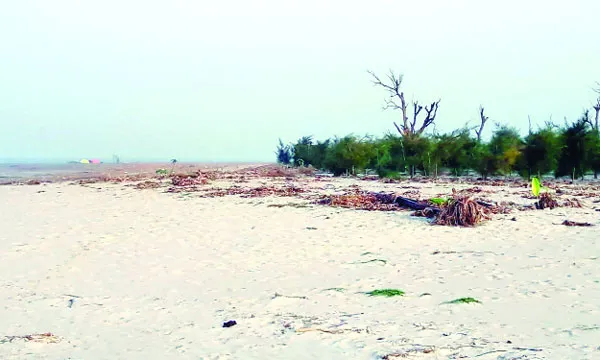 বিনা চিকিৎসায়  মারা যায় চর নিজামের মানুষ