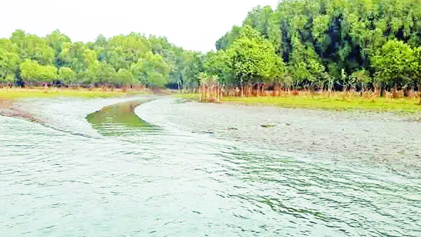 জঙ্গলে বন্যপ্রাণী, দুই পাড়ে ইলিশের ভাণ্ডার
