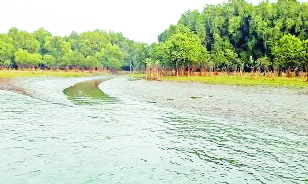 জঙ্গলে বন্যপ্রাণী, দুই পাড়ে ইলিশের ভাণ্ডার